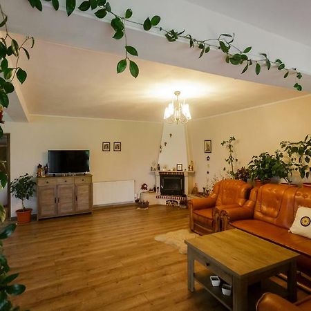 Отель Casa Florilor Куртя-де-Арджеш Экстерьер фото