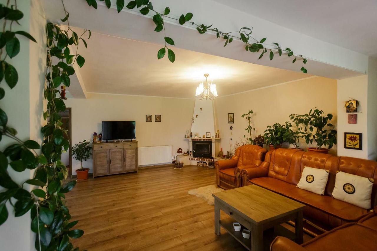 Отель Casa Florilor Куртя-де-Арджеш Экстерьер фото