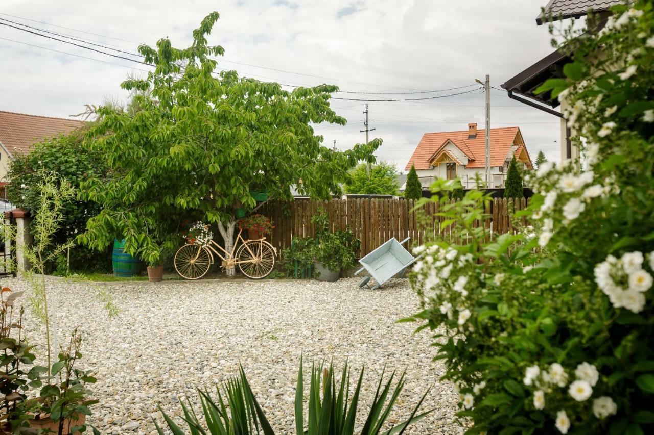 Отель Casa Florilor Куртя-де-Арджеш Экстерьер фото