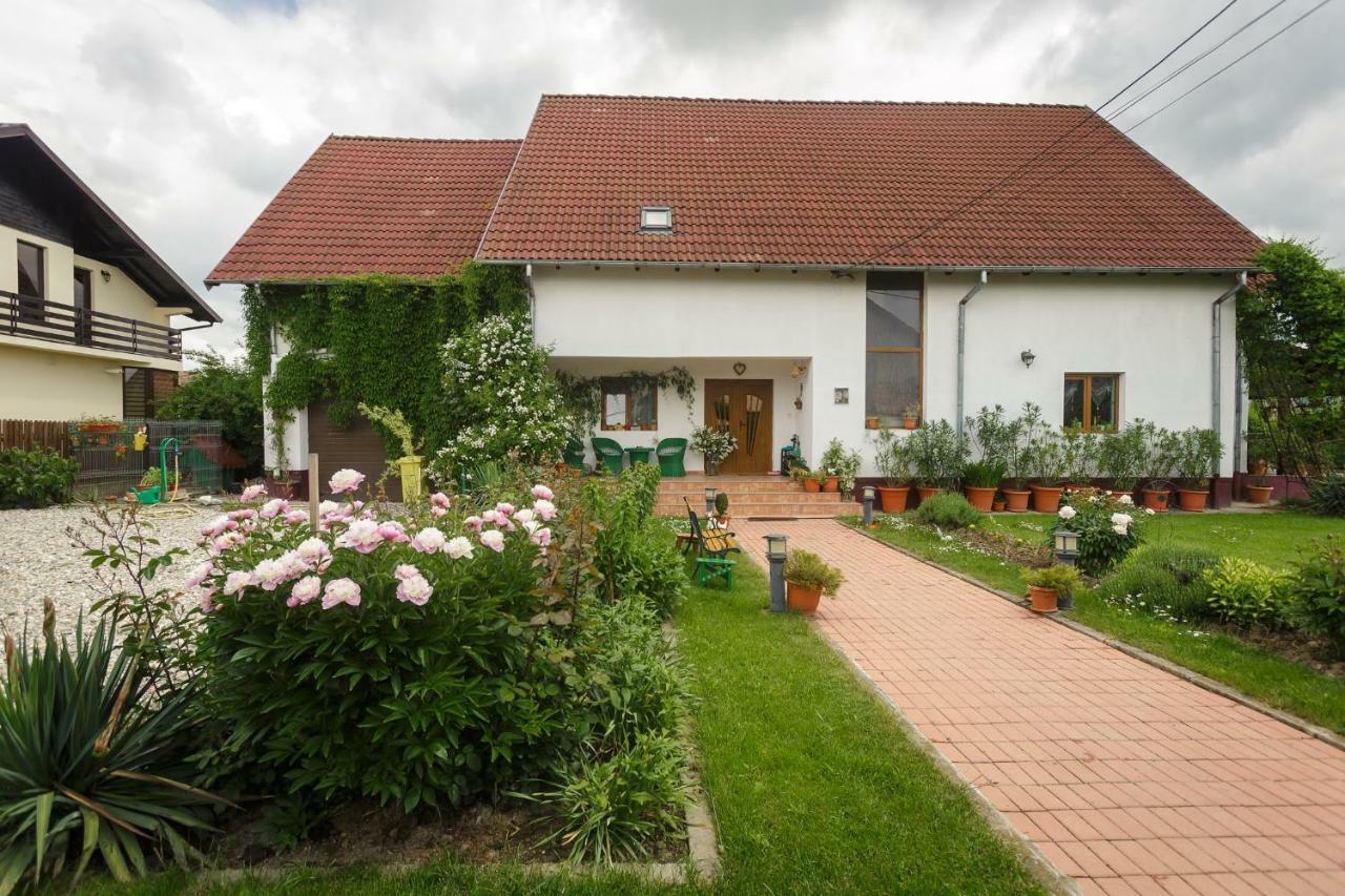 Отель Casa Florilor Куртя-де-Арджеш Экстерьер фото