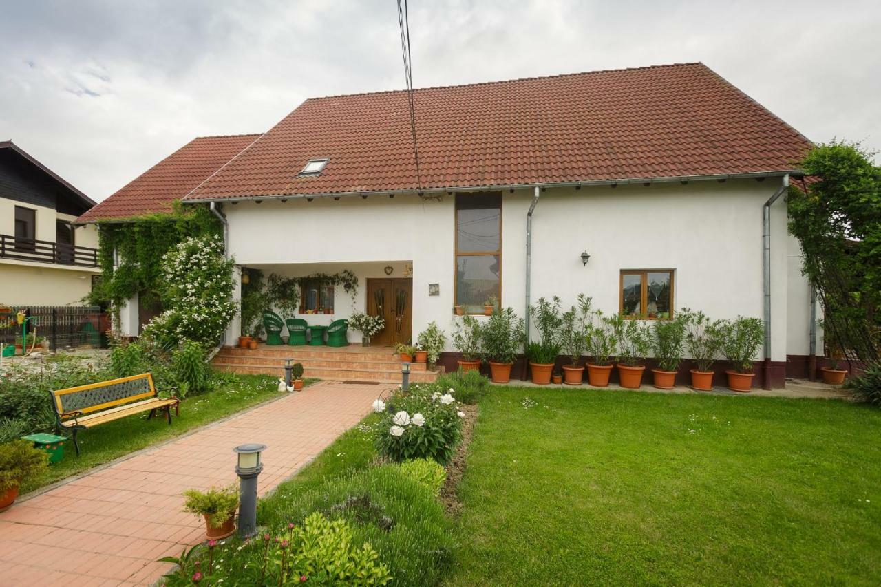 Отель Casa Florilor Куртя-де-Арджеш Экстерьер фото