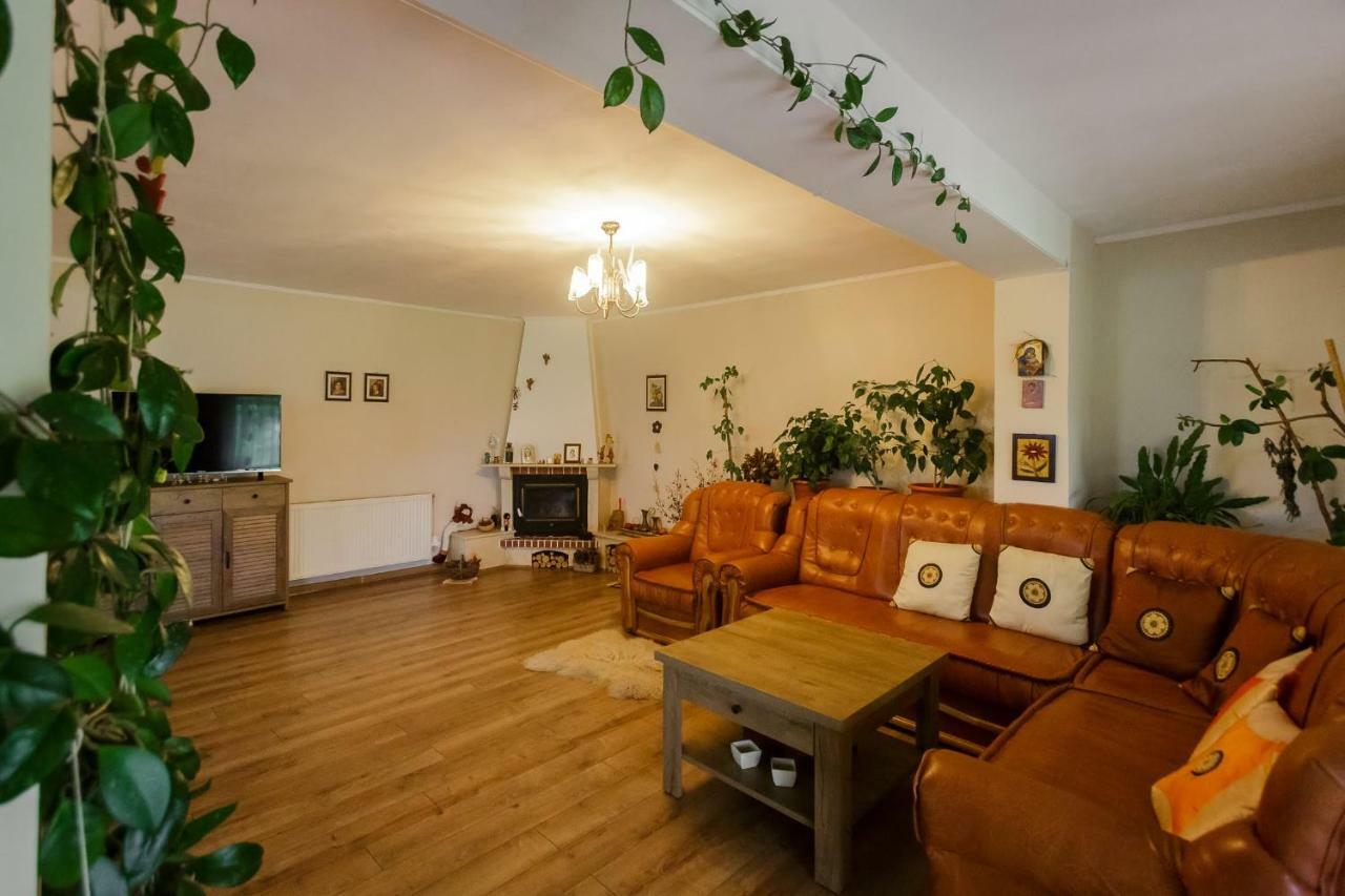 Отель Casa Florilor Куртя-де-Арджеш Экстерьер фото