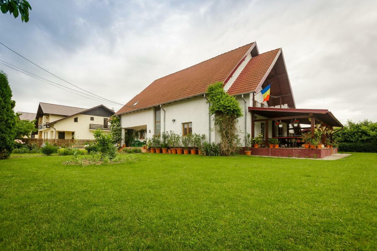 Отель Casa Florilor Куртя-де-Арджеш Экстерьер фото