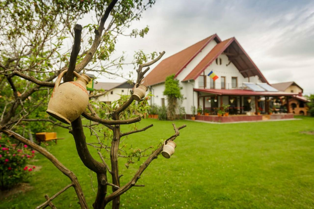 Отель Casa Florilor Куртя-де-Арджеш Экстерьер фото