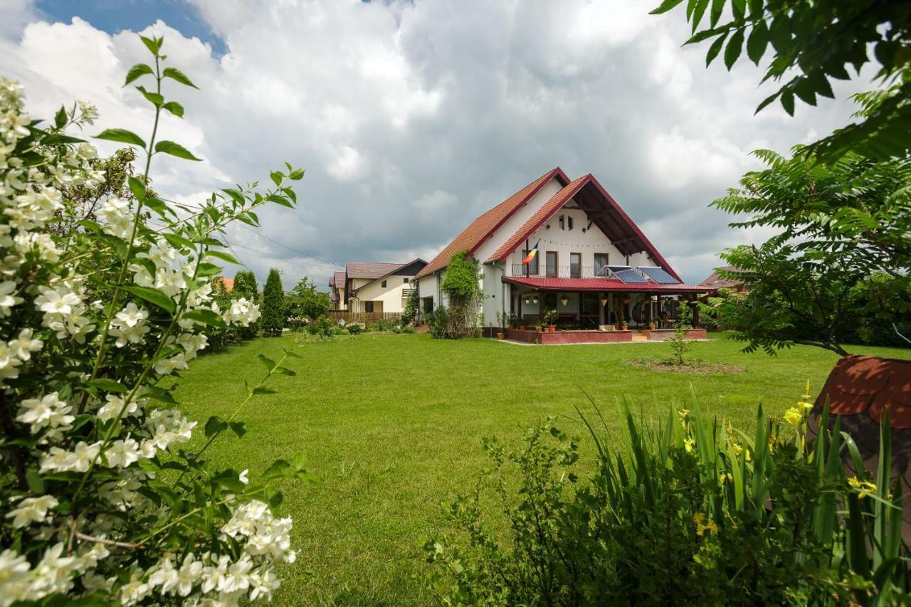 Отель Casa Florilor Куртя-де-Арджеш Экстерьер фото