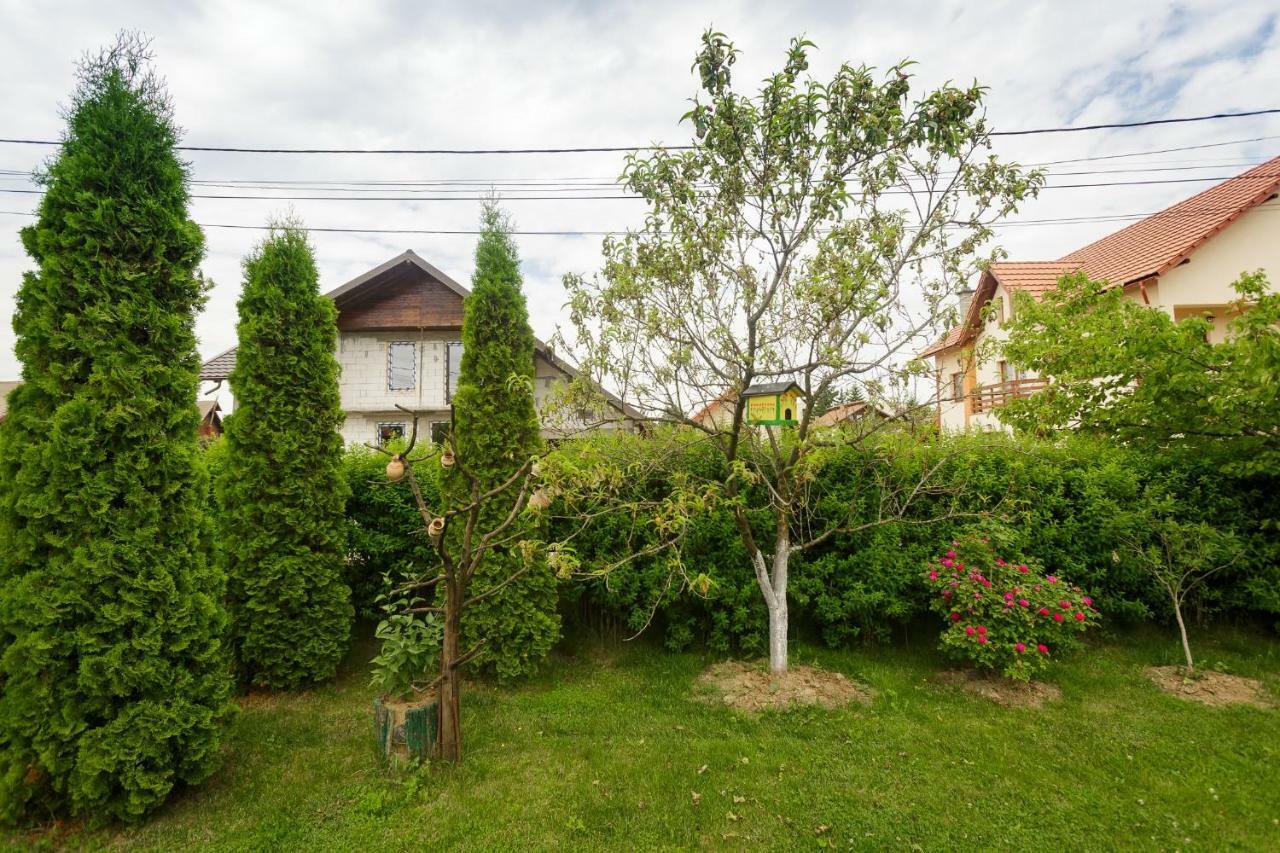 Отель Casa Florilor Куртя-де-Арджеш Экстерьер фото