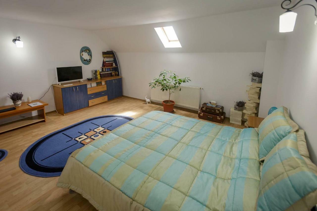 Отель Casa Florilor Куртя-де-Арджеш Экстерьер фото