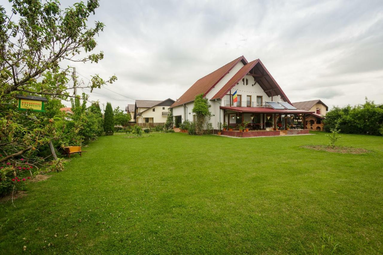 Отель Casa Florilor Куртя-де-Арджеш Экстерьер фото